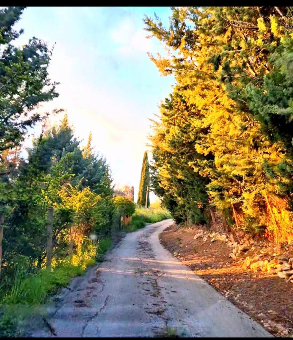 Donna Caterina House, Autentica Oasi Di Confort E Relax Nel Cuore Della Sicilia Pietraperzia Екстериор снимка